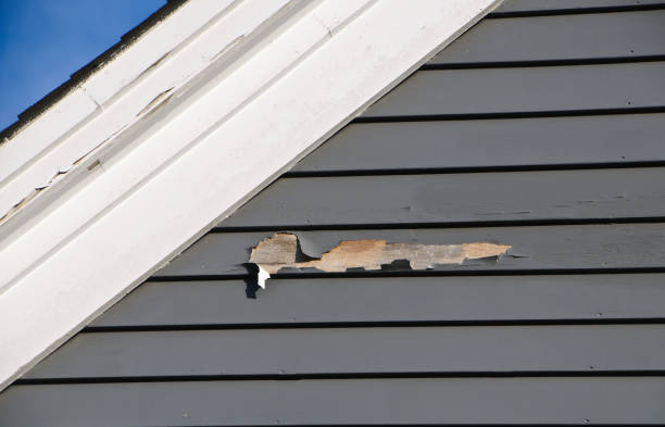 Best Demolition Debris Removal  in Windsor, MO